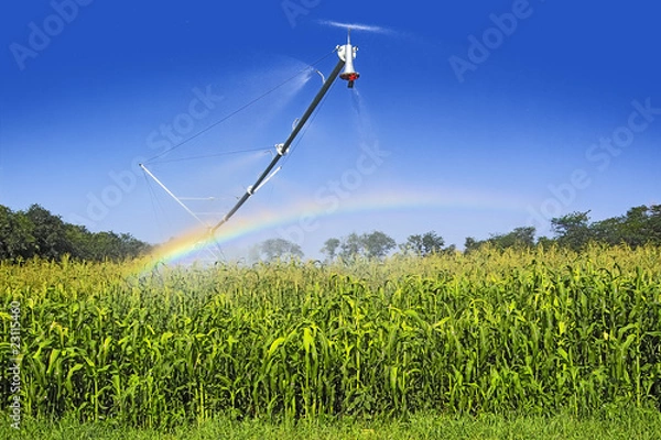 Obraz irrigation technic