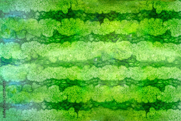 Obraz Striped crust of watermelon, background, texture