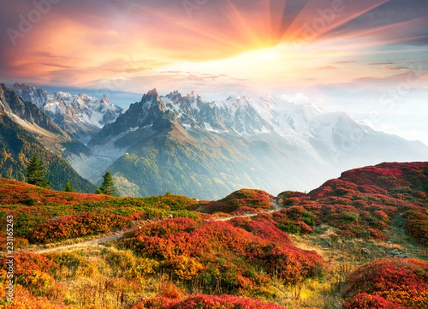 Obraz Red autumn Chamonix in the Alps