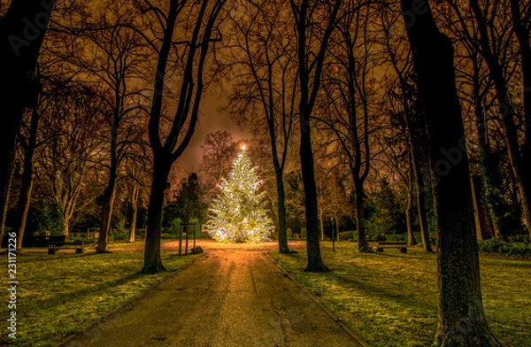Obraz Weihnachtsbaum in Pforzheim