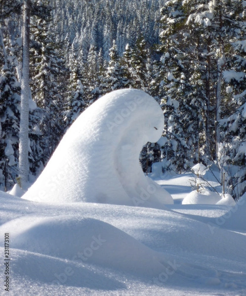 Fototapeta Snow shapes on trees, Norway