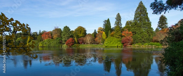 Fototapeta Autumn trees reflected in lake