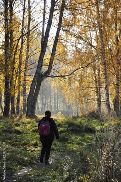 Fototapeta осень