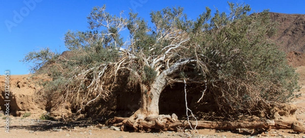 Obraz Richtersveld desolation