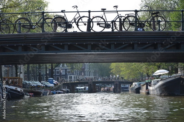 Obraz bridge over the river