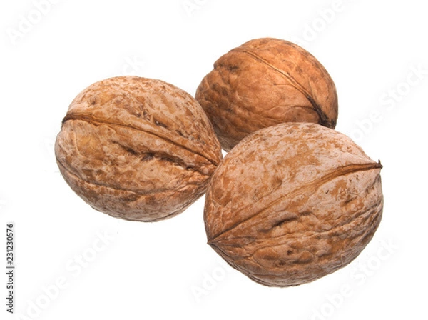 Fototapeta nut isolated on white background