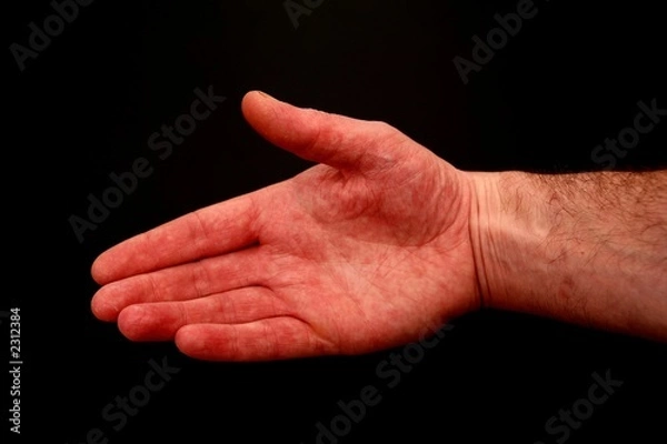 Obraz hand