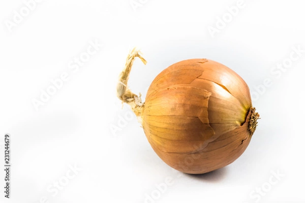 Fototapeta One yellow onion against a white background