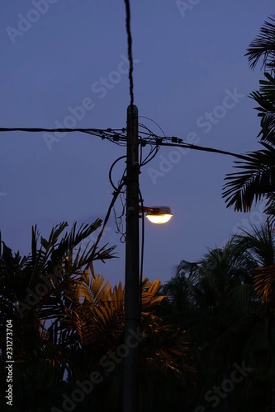 Obraz Light in the Night