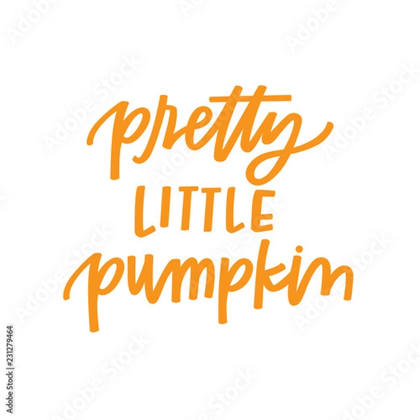 Fototapeta Pretty little pumpkin