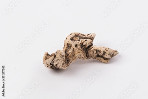 Obraz Dried tree snag