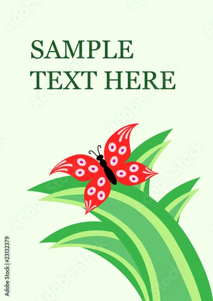 Obraz vector butterfly card design