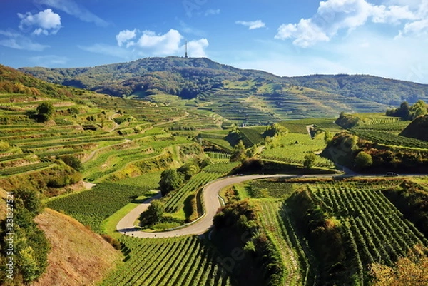 Fototapeta Kaiserstuhl