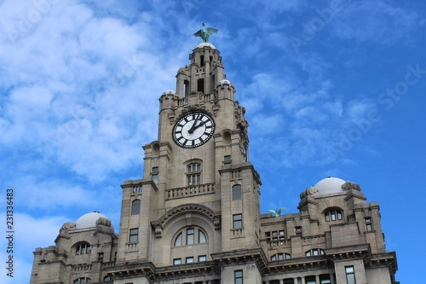 Obraz liverbird liverpool close