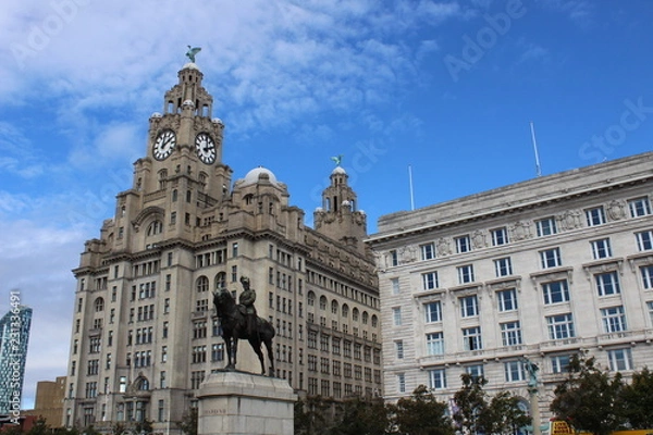 Obraz liverbird liverpool