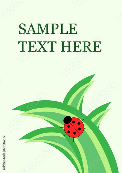 Obraz Little ladybug on grass