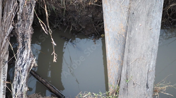 Obraz Small wooden bridge