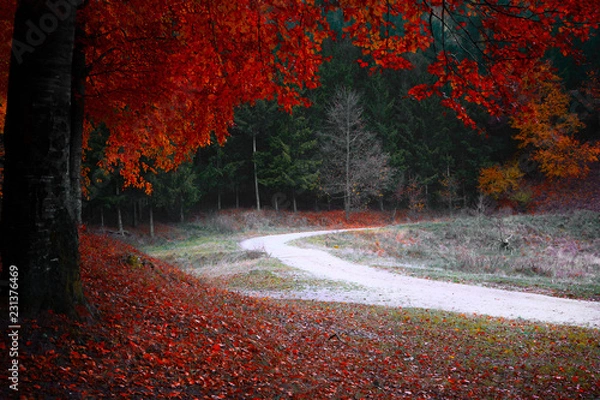Obraz Quiet autumn evening
