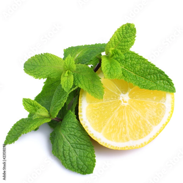Obraz Mint and lemon