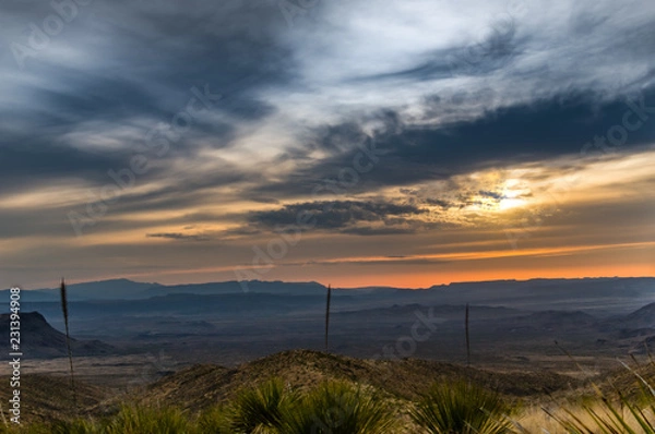 Obraz sunset on the desert