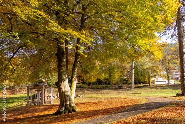 Obraz Park in Bad Wildbad