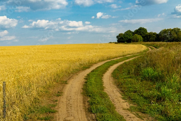 Obraz wheat field with road