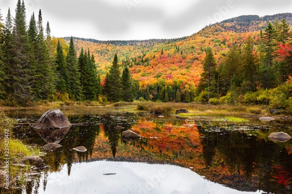 Obraz Fall scene in the Quebec cottage country with golden leaves and fall colors.