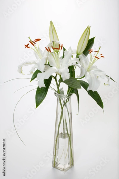 Obraz Lillies on White
