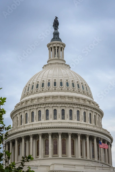 Obraz Capitol Building in Washington DC