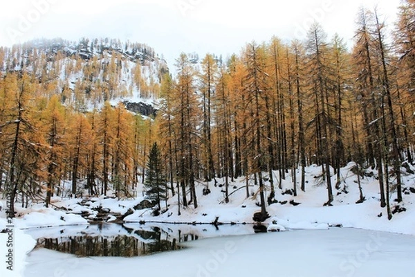 Obraz lac du Pellaud