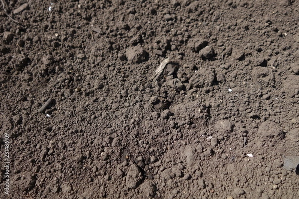 Fototapeta 畑の黒ボク土クローズアップ