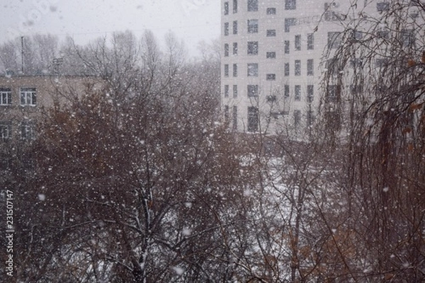 Obraz city in the winter