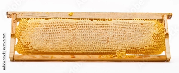 Obraz Bee Honeycombs In A Frame On A White Background. Isolation.