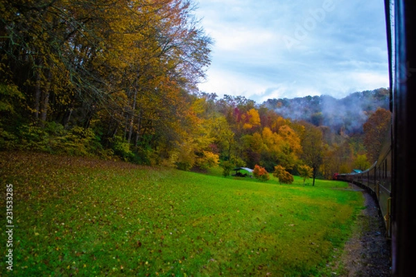 Obraz Train in Fall