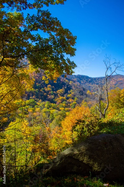 Obraz Beautiful Fall Overlook in Smokeys