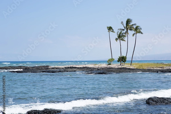 Fototapeta ocean waves palm trees