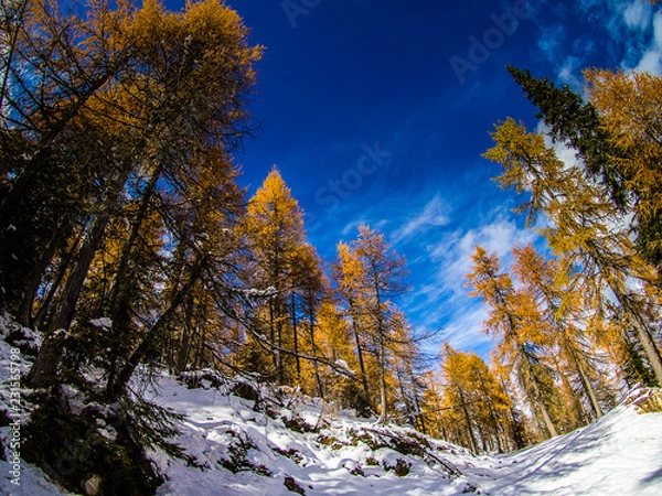 Obraz Berge im Winter