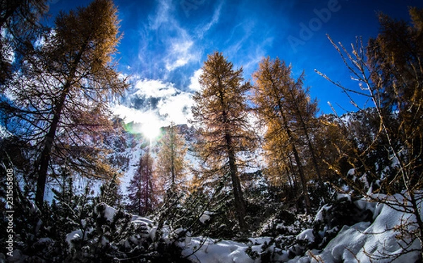 Obraz Berge im Winter
