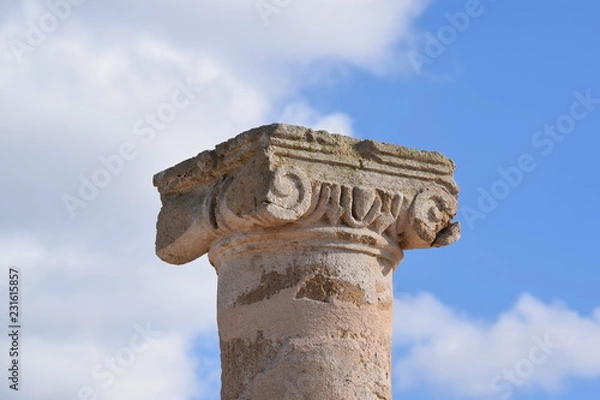 Fototapeta Grecian column top