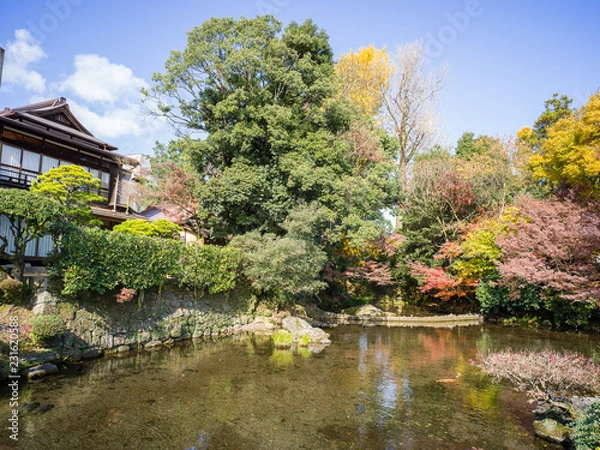 Obraz Japan Garden