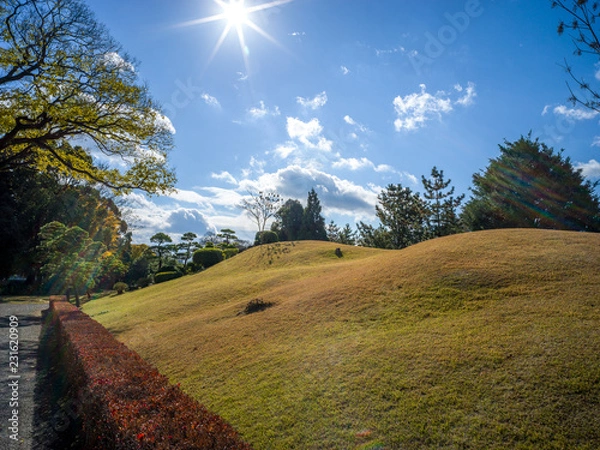 Obraz Clear Sky and green field