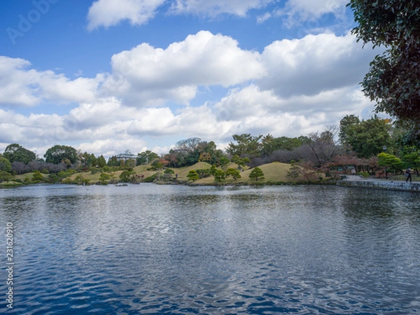 Obraz Clear sky and fish pond