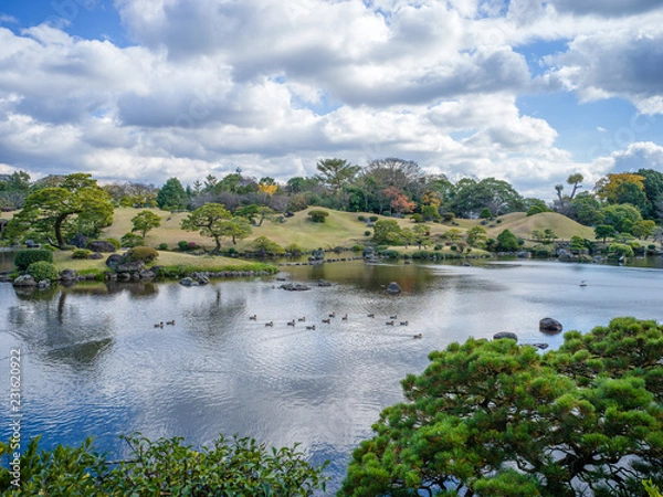 Obraz Fish Pond with ducks