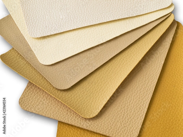Obraz Light Brown Tone Leatherette color sample