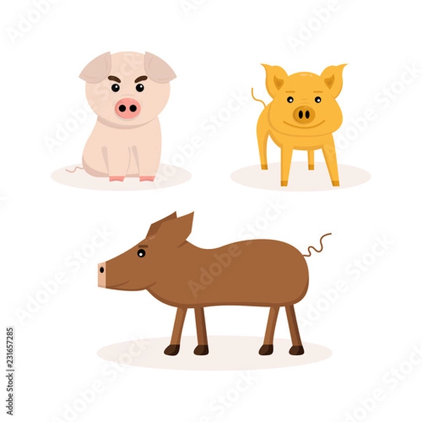 Fototapeta set of three pigs