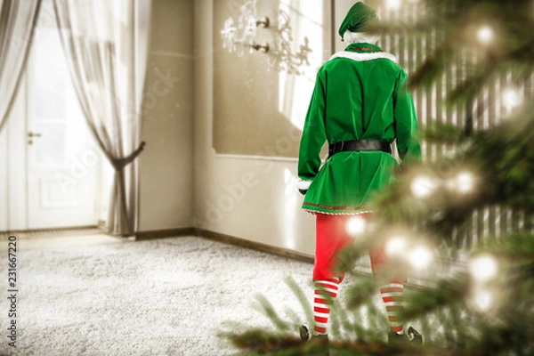 Fototapeta Christmas elf in home interior with big window and christmas tree 