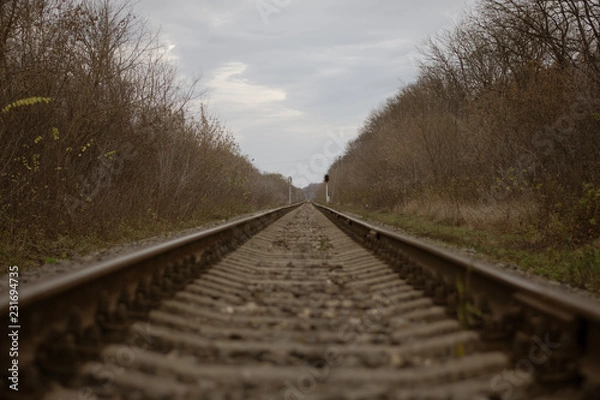 Fototapeta The railway goes into the distance