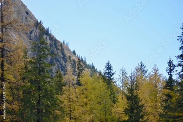 Obraz Schweitzer Alpen