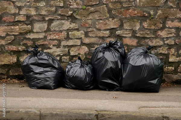 Obraz trash bags