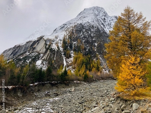 Obraz Schweitzer Alpen